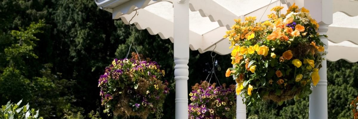 Blumenampel, Hängeampel oder Hanging Basket: Ein wunderschöner Blickfang für Terrasse, Balkon und Garten!