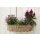 Wand-Blumenkorb antikweiß - 42 cm breit - Pflanzkorb