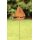 Rost Gartenstecker Segelboot 61,5 cm
