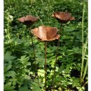 Mohn Stecker Rost im 3er Set