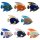 Gartenfiguren Fische aus Keramik verschiedene Farben zur Auswahl
