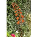 Rost Stecker Glockenblume für den Garten