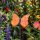 Gartenfigur Schmetterling aus Keramik orange
