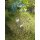 Blumentopfstecker "Welle" aus Edelstahl - 40 cm hoch - Gartenstecker