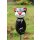 Dekofigur schwarze Katze aus Keramik Gartendekoration