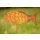 Rost Gartenstecker Fisch 60 cm