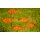 Rost Gartenstecker Fisch 60 cm