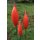 Spitzen aus Keramik - rot - 30/25/20 cm Garten Rosenkugel Zapfen