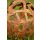 Edelrost Gartenkugel Herz 30 cm