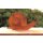 Gartenfigur Schnecke aus Metall rostig