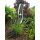Edelstahl Gartenstecker Ellipse Gartendekoration aus Metall Gartendeko