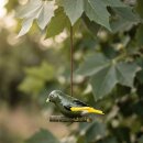 Gartenfigur Gr&uuml;nfink Vogel aus Keramik zum Aufh&auml;ngen
