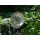 Edelstahl Windspiel Kreis Kugel 12 cm mit Glaskugel Gartendeko
