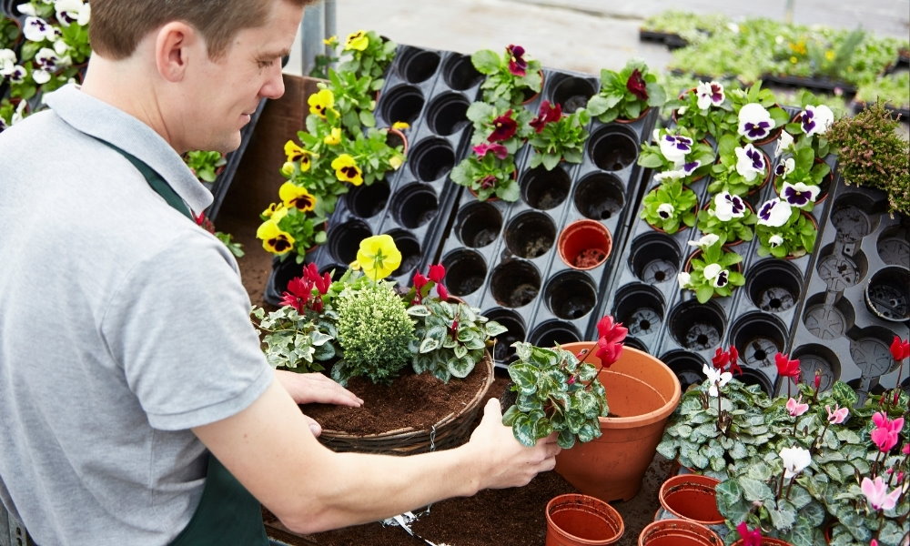 Die Auswahl der Blumen für die Blumenampel